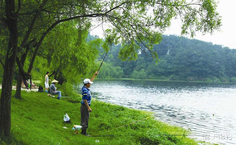 「溺水」牛粪真能钓草鱼？这么重口味的鱼饵谁想出来的？