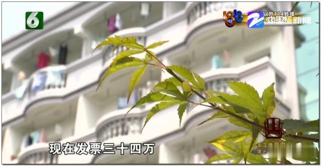 河南商报|老公车祸深度昏迷 妻子拿走赔偿款却拒医药费？婆婆急找儿媳讨银行卡