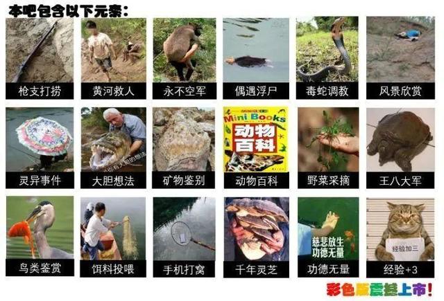 空军|世上只有两种贴吧，钓鱼吧和其他