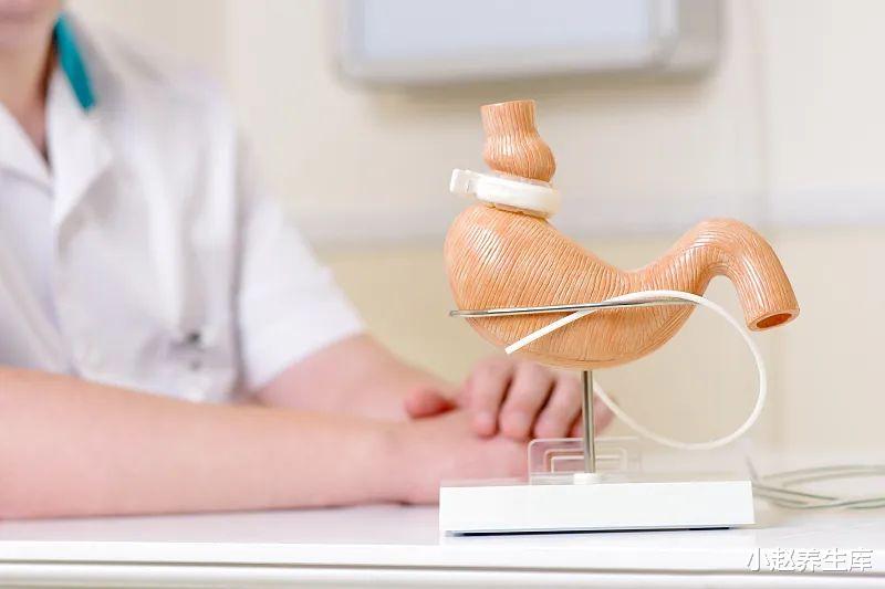 胃病@胃不好的人,饭后有3种表现,牢记:胃有4“怕”,最好一个不占