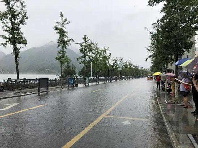 半岛晨报|9孔全开泄洪后，有居民区淹至二楼，树都淹到树冠部位了