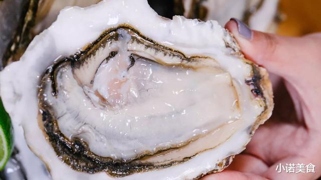 牡蛎|明明长得一模一样,为何一个叫生蚝,一个叫牡蛎?原来区别这么大