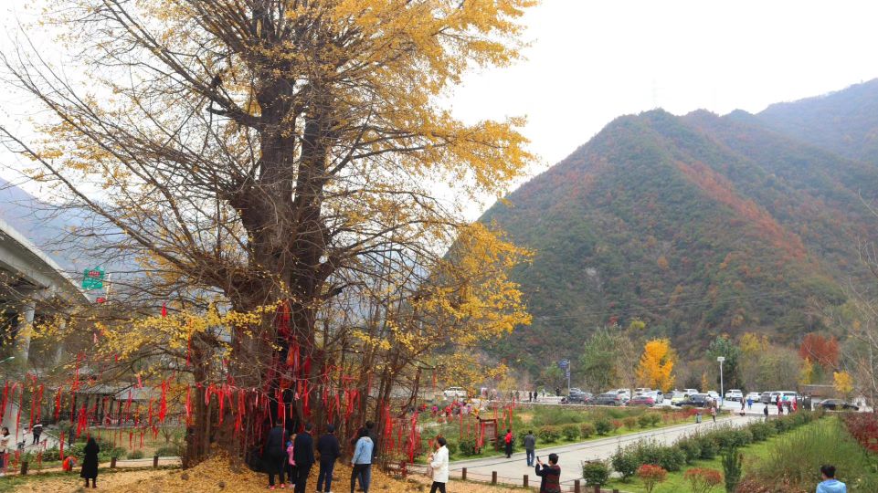留坝|陕西留坝,藏着中国最美乡村公路,高江路,这里有秦岭最惊艳的秋