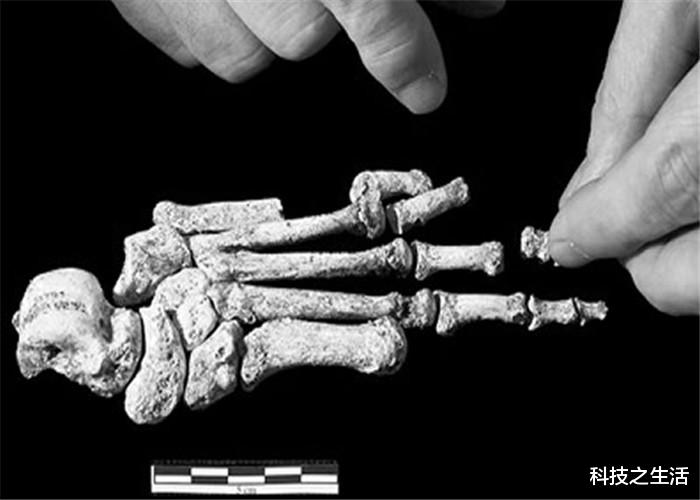 外星人▲是传说还是真相？探索人类起源秘密，其中一项让人无法理解！