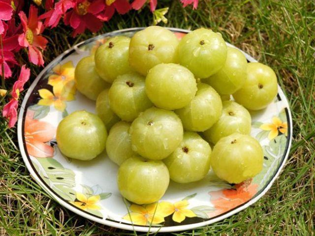 脑血栓|女人不想子宫早衰，秋天多食此果，美白淡斑，还能滋养卵巢