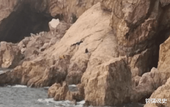 鲢鳙|辽宁大连发生一起意外事故，位于滨海路棒棰岛，场面让人揪心