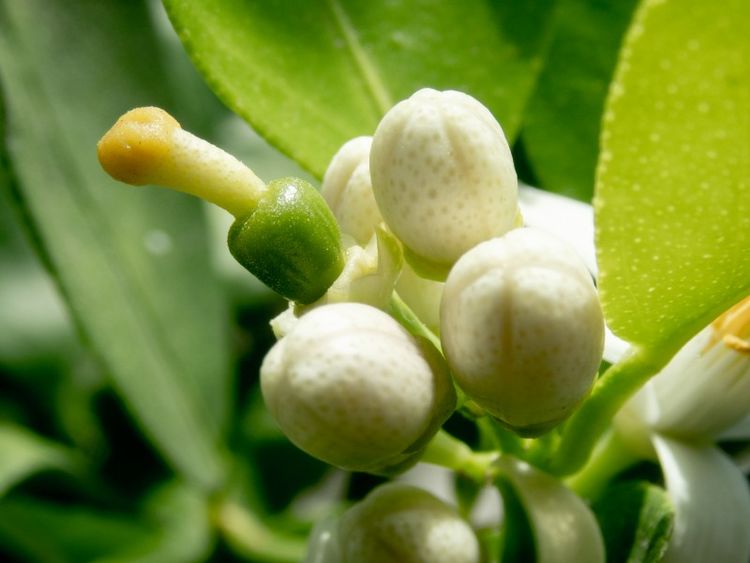 『运势』6月下旬财从天降，喜从天降，好运不断，横财不断的四属相