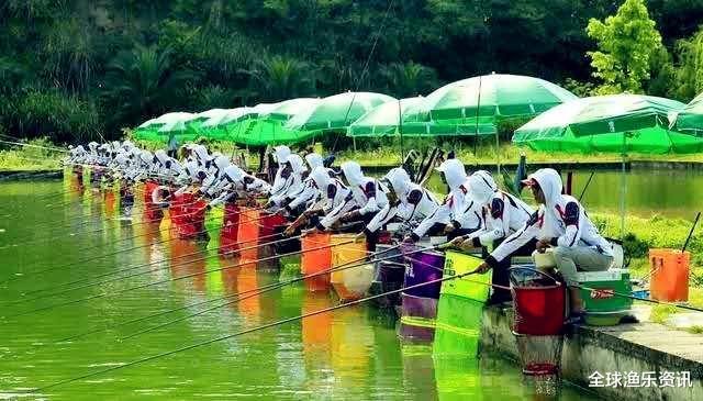 []夏季如何征战黑坑？老钓友：学会这款自制饵料，每次多钓30斤