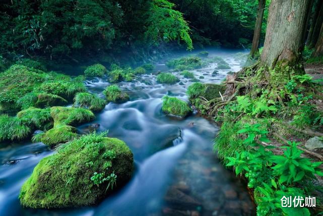 旧爱|9月后，月老携姻缘，红丝暗系，将执旧爱之手，相守不离的4大星座