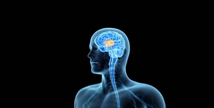 金字塔|梵蒂冈与共济会之间的秘密，他们到底在计划什么？松果体是否就是天眼