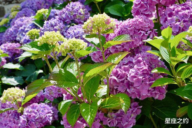 金牛座|在7月下旬，释放枷锁，充满期待，不留遗憾的三大星座