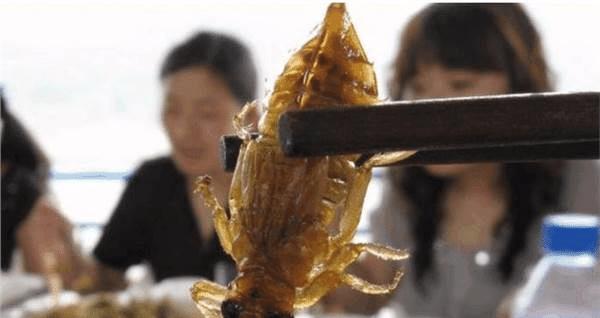 []它一小时能吃掉840只蚊子，却被人们吃到快灭绝