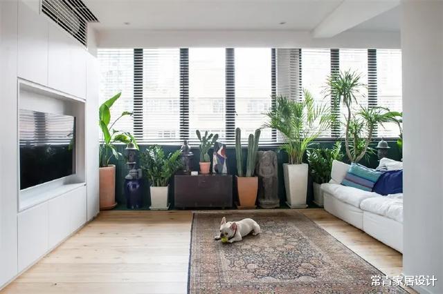 ：越来越多人家都不装窗帘，都装百叶窗，光影效果自带高级质感