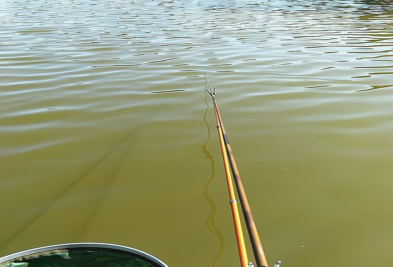 米饭|钓鱼前有酒有肉,钓鱼后米饭咸菜,谁说钓鱼不花钱