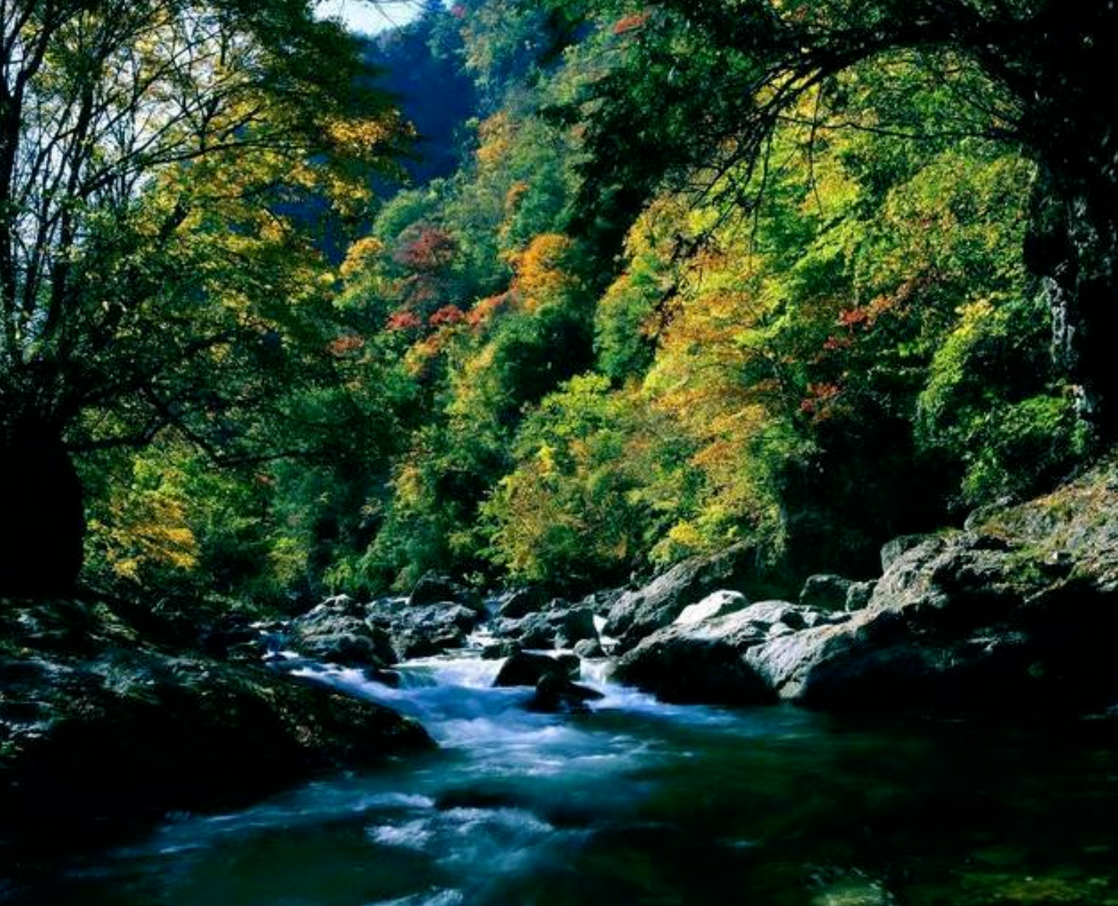「长白山」夏季“最凉快”的6个景点，适合全家出游，第一个就不要门票