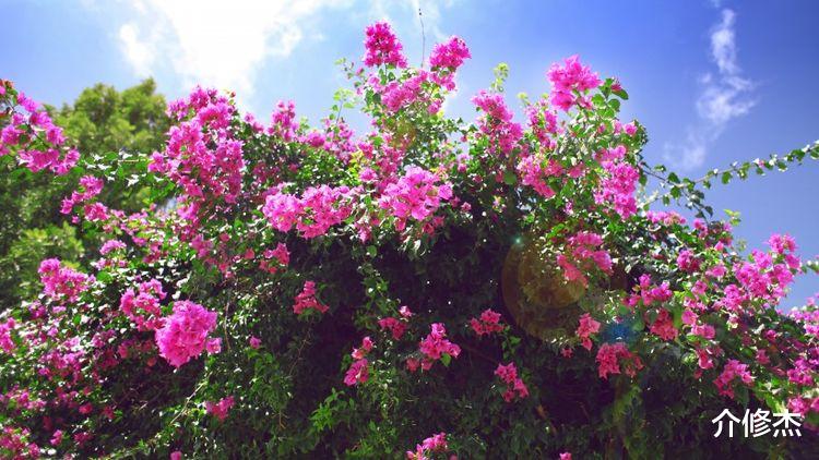 双鱼座|10月上旬期间，姻缘不请自来，将喜获真爱，共浴爱河的4大星座