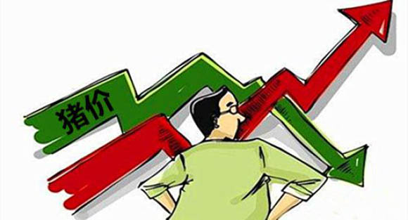 「生猪价格」0涨19跌,4月最后1天,不忍直视,猪市下跌何时休?答案来了