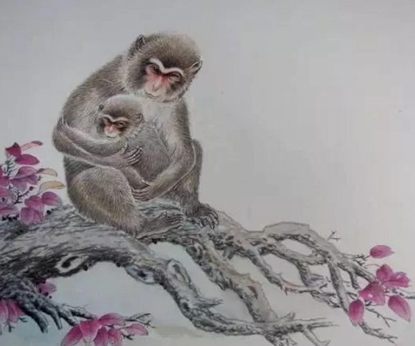 生肖：深山老人掐指一算：5月中旬一到，生肖猴家中有喜，神准！