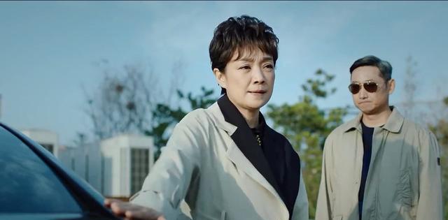 草莓都不甜了 《巡回检察组》:六个母亲5个“可怜人”,为何宋丽敏不值得同情