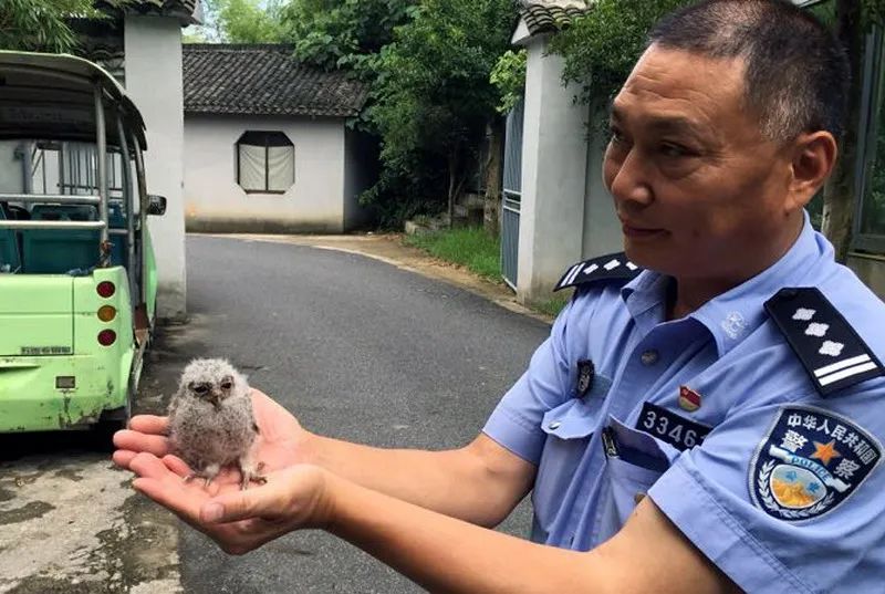浙江法制报|太珍贵了！鲁迅笔下的「猹」首次被红外相机记录，视频一经公布冲上热搜！