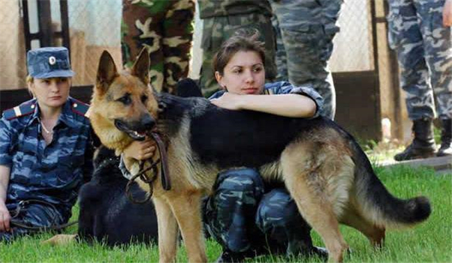 【马铃薯】志愿被调剂到冷门专业? 这四个专业很多人闻所未闻, 却是高薪