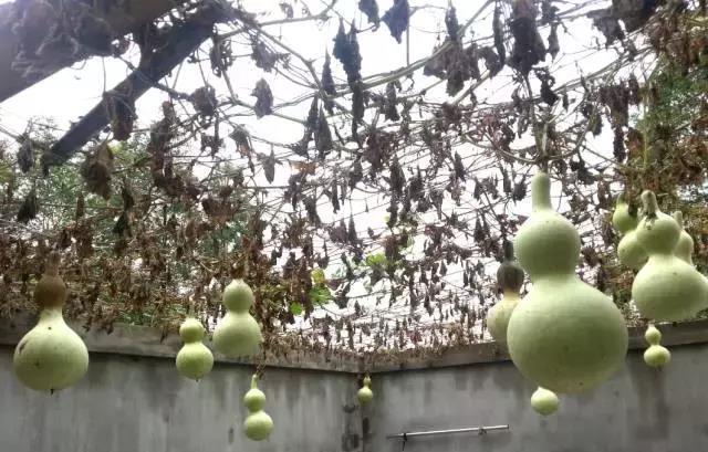 晒晒我家的三层简欧别墅, 小日子过得比神仙都快活