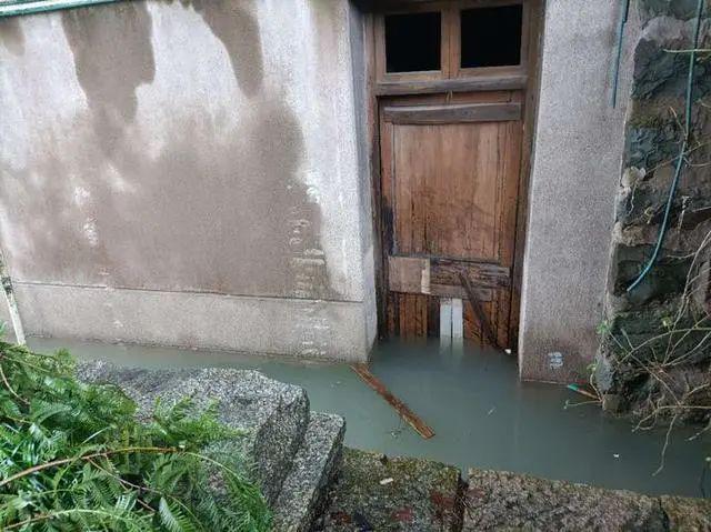 半岛晨报|9孔全开泄洪后，有居民区淹至二楼，树都淹到树冠部位了