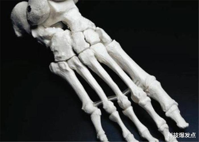 【科学家】为什么中国人有204块骨头，而其他人有206块，这是进化更快吗？