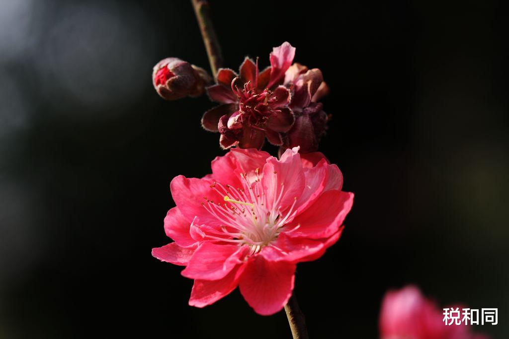 「星座男」6月28号霉运消散,苦难已过的3生肖,聚生财之局,接住了富贵连连