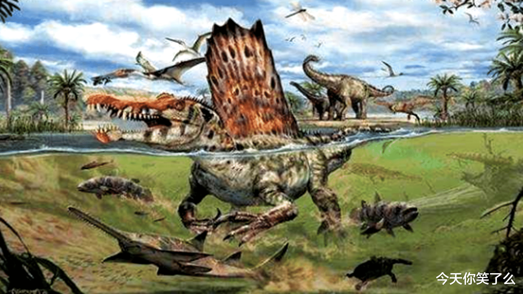 古生物学|古生物学家又有新发现，侏罗纪时期的霸主或许不是霸王龙！