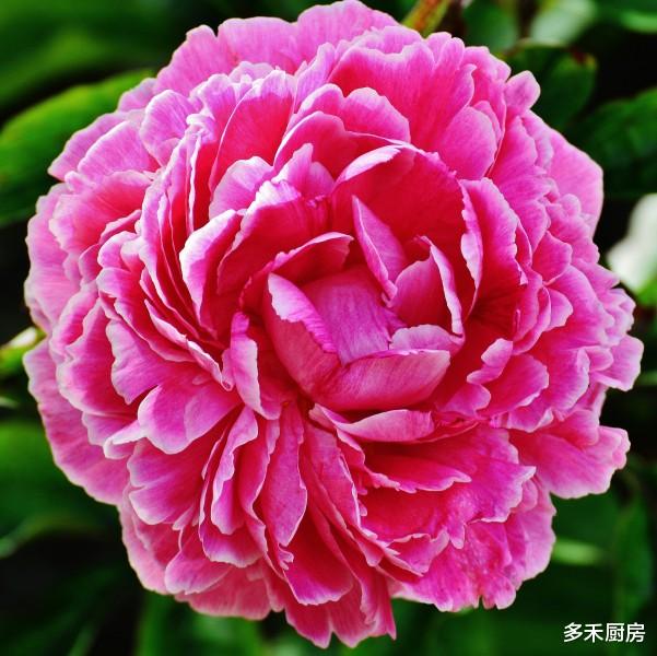 生肖|半年之内，财运大旺收入翻倍的生肖