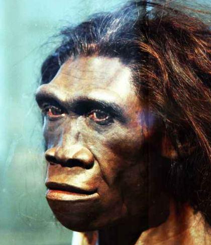 #女娲#五十万年前的墓穴出世,四人二狗同葬,让全世界不寒而栗