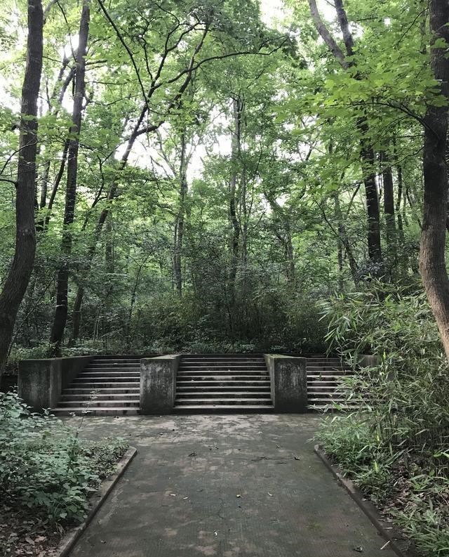 【戴笠】戴笠墓地：7个老农挖了7天才挖开，死前给蒋介石发了一封神秘电报