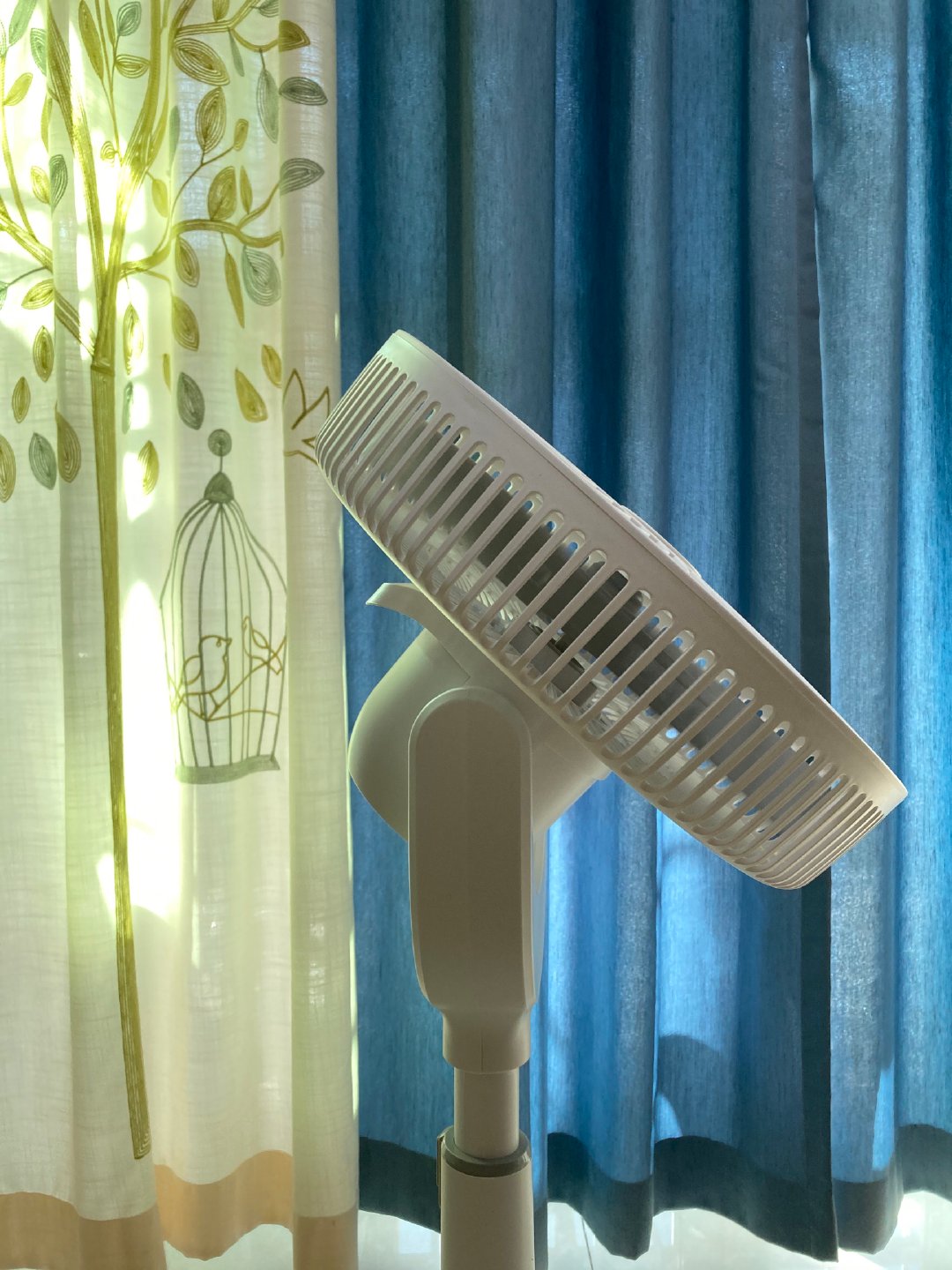 天猫精灵|三伏天来了，空气循环扇哪家强？新晋网红AK vs 传统大牌艾美特