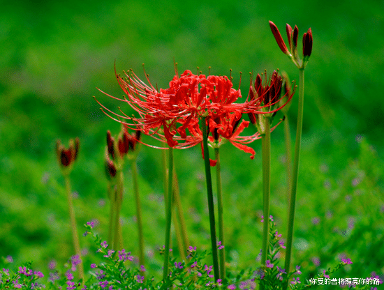 运势▲进入下周，4属相横财正财连旺，红鸾星动，桃花运爆发，生活幸福