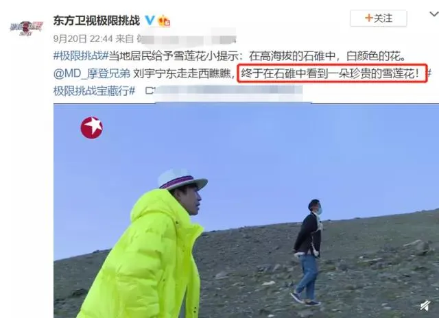 极限挑战|极限挑战节目组道歉了,可那颗雪兔子再也回不来了