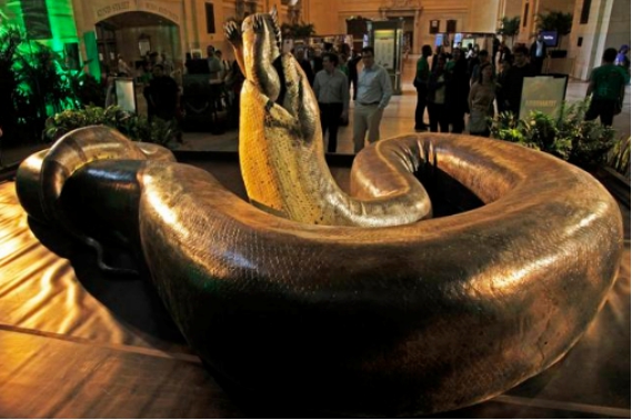 |它才是食物链的王者！横行亚马逊的庞然大物，“森蚺”到底有多强