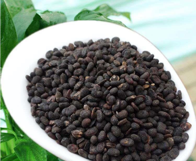 滑膜炎|真正的“护骨专家”是它，牛奶靠边站，你若爱喝，滑膜炎没了