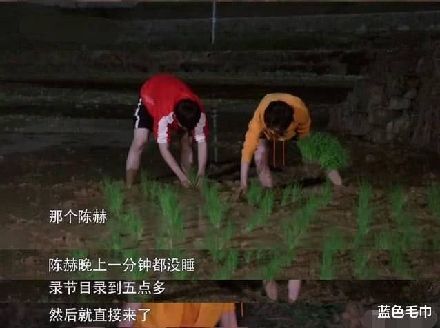 陈赫|陈赫凭啥能当《向往4》收官嘉宾?原来他为节目牺牲了这么多