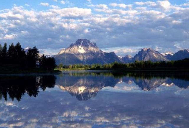 墨语笙歌|老头捡到一块石头，上面却长满“白发”，专家表示：赶紧报警