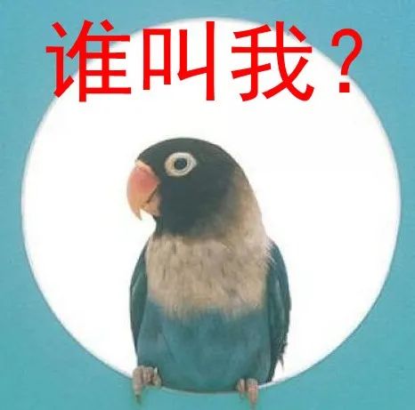 「北京市」最新！广州这些区已发台风蓝色预警！今夜雨势......