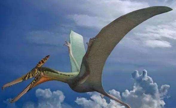 「」加拿大发现世界第一只“北风冷龙”,风神翼龙地位受到挑战