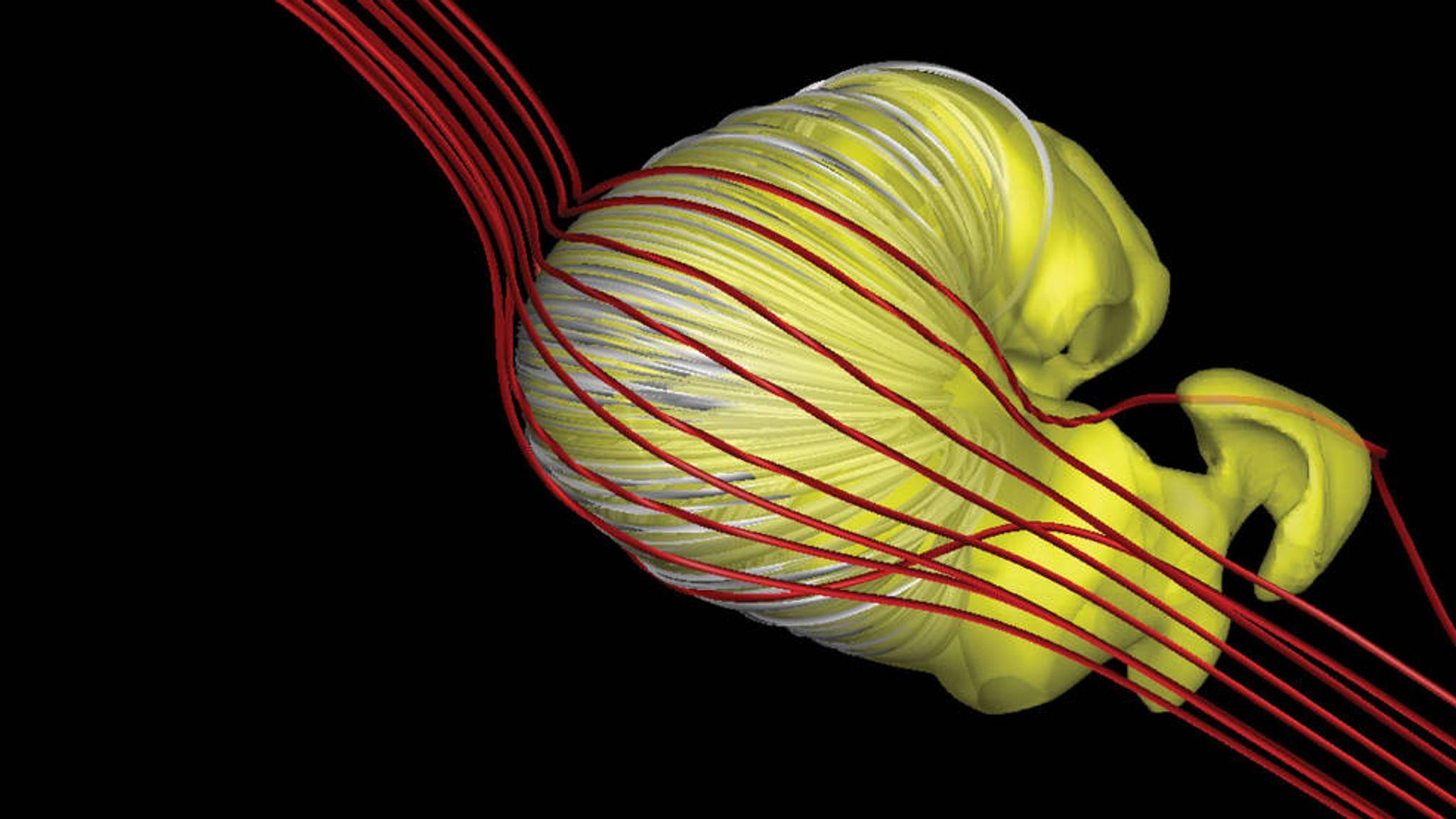太阳系|NASA最新发现：原来我们生活在一个“瘪掉的羊角面包”里