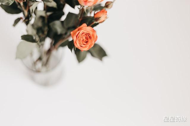 金牛座@与单纯不沾边，但是有智有谋的四个星座