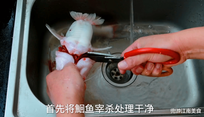 鮰鱼|淮扬菜大厨分享鮰鱼超美味做法，鱼肉细嫩软糯，萝卜入口即化