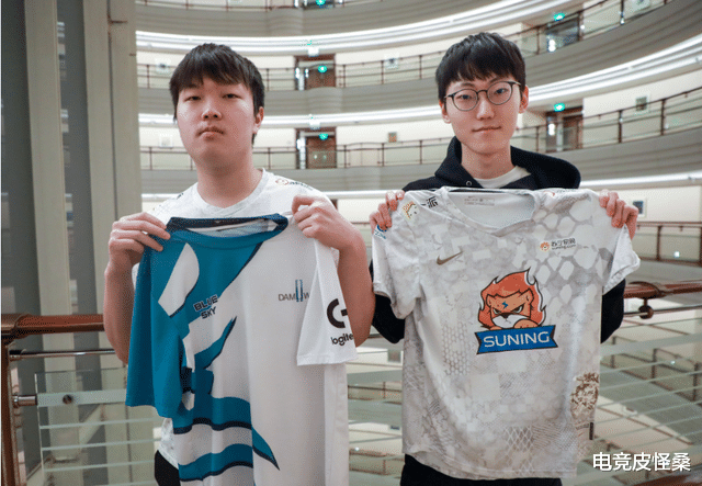 nest|SN出征NEST，选手名单引争议，AD选手ID仿佛在开玩笑！