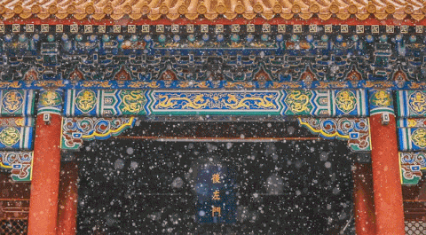 全网爆火的故宫雪景图和猫，是她拍下的。