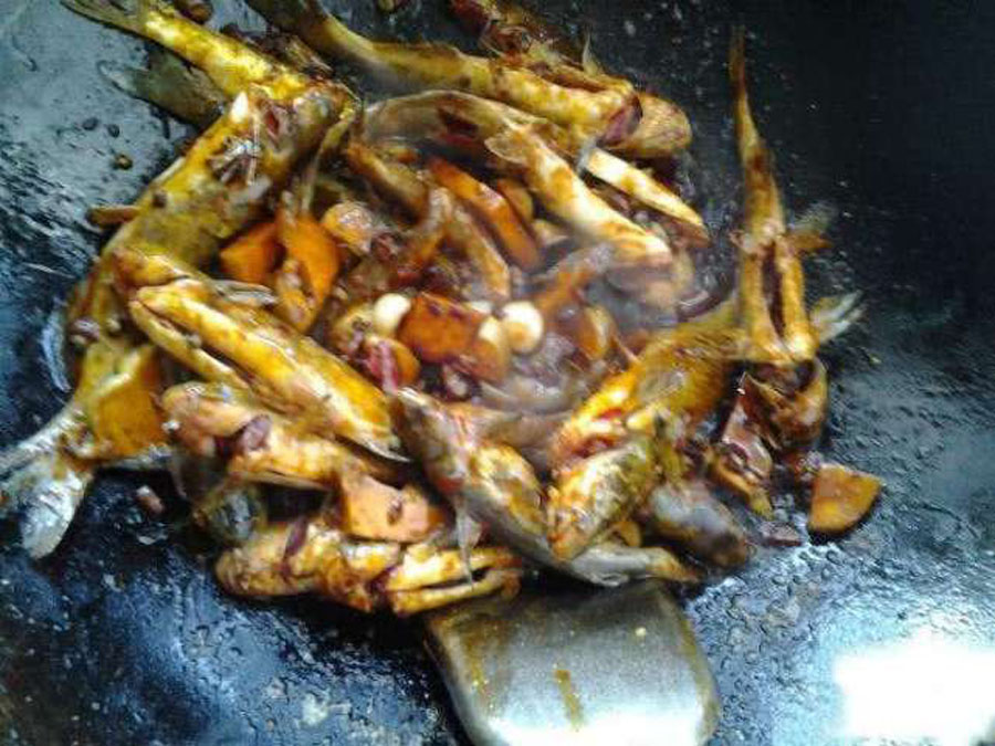 ▲洪水过后去钓鱼，这么大的黄颡鱼，还是头一次钓获