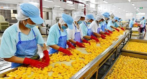 杨春香谈娱乐 这次归家后，不少农民工表示年后不再返城打工，为什么？