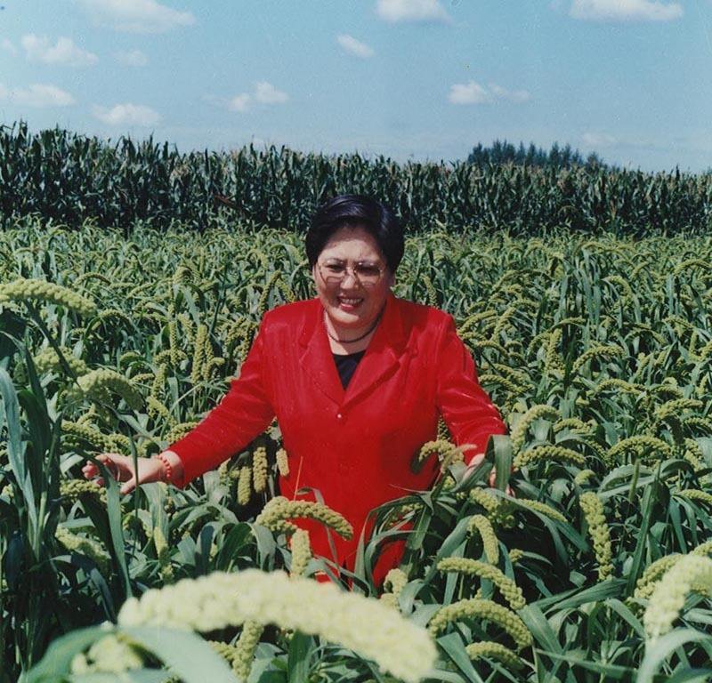 趣观历史|黑龙江传奇女富豪,靠造假诈骗22亿 “创业”,最终结局如何?